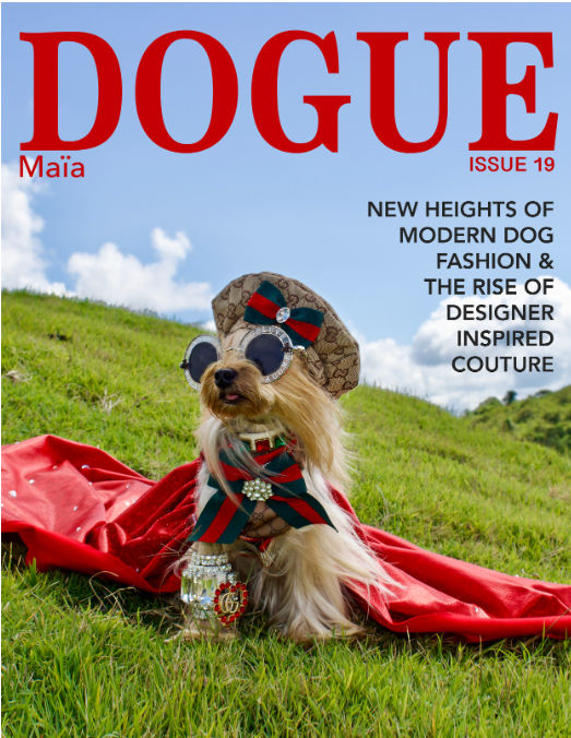 Fotomodell hund Dogue Vogue